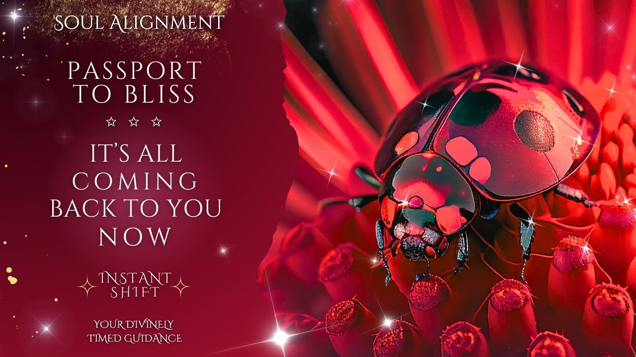 The Divine Is CALLING — You’re About To Receive A Powerful PREMONITION 👁️💭 