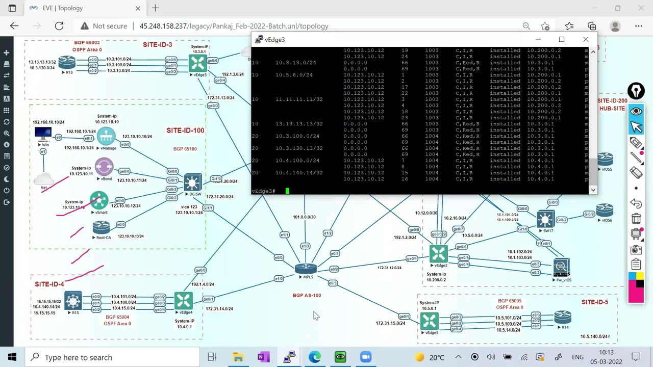 [English] SDWAN Policy, Centralized Policy, AAR, Route based Hub and Spoke Topology