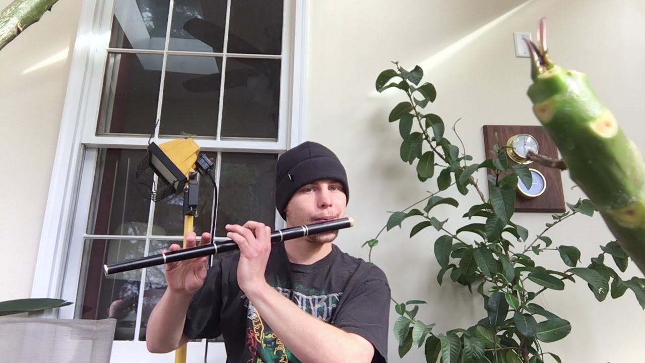 Two Irish Tunes on F Flute.