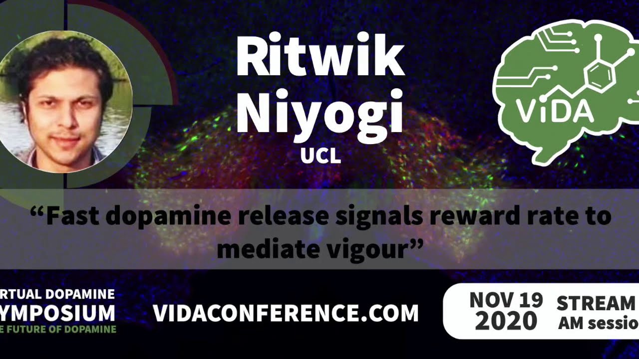 Ritwik Niyogi- Fast dopamine release signals reward rate to mediate vigour