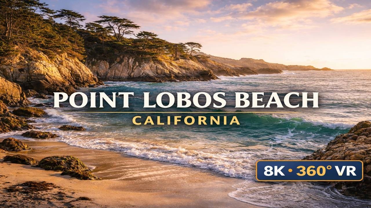 POINT LOBOS BEACH 🌊 | California Coast | Immersive Nature Experience