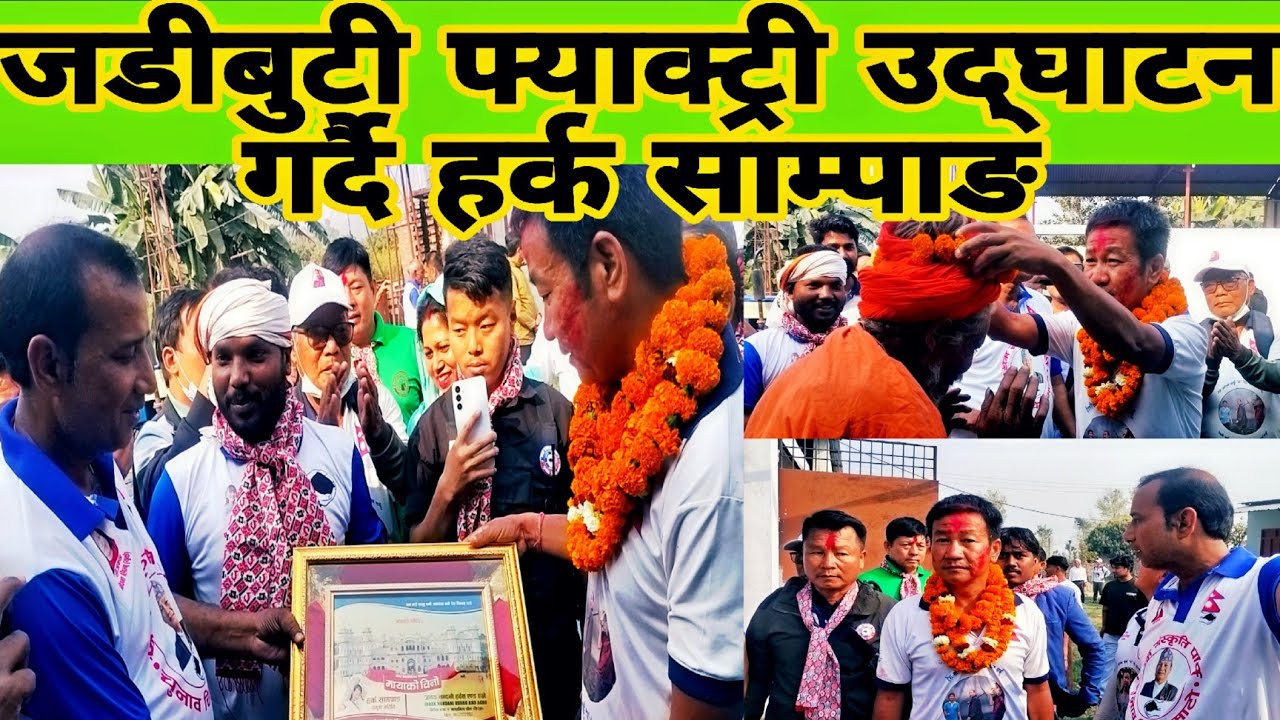 जडीबुटी फ्याक्ट्री उद्घाटन गर्दै हर्क साम्पाङ, मायाँ को चिनो प्रदान गरे हर्क साम्पाङ लाई 