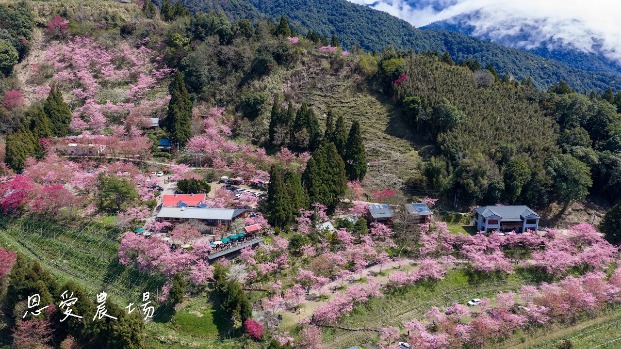 2026-03-07 拉拉山恩愛農場