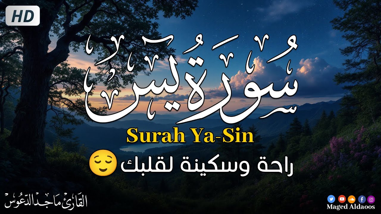 سورة يس كاملة You Won’t Believe the Peace in Surah Yaseen | Full Quran Recitation That Changes Lives