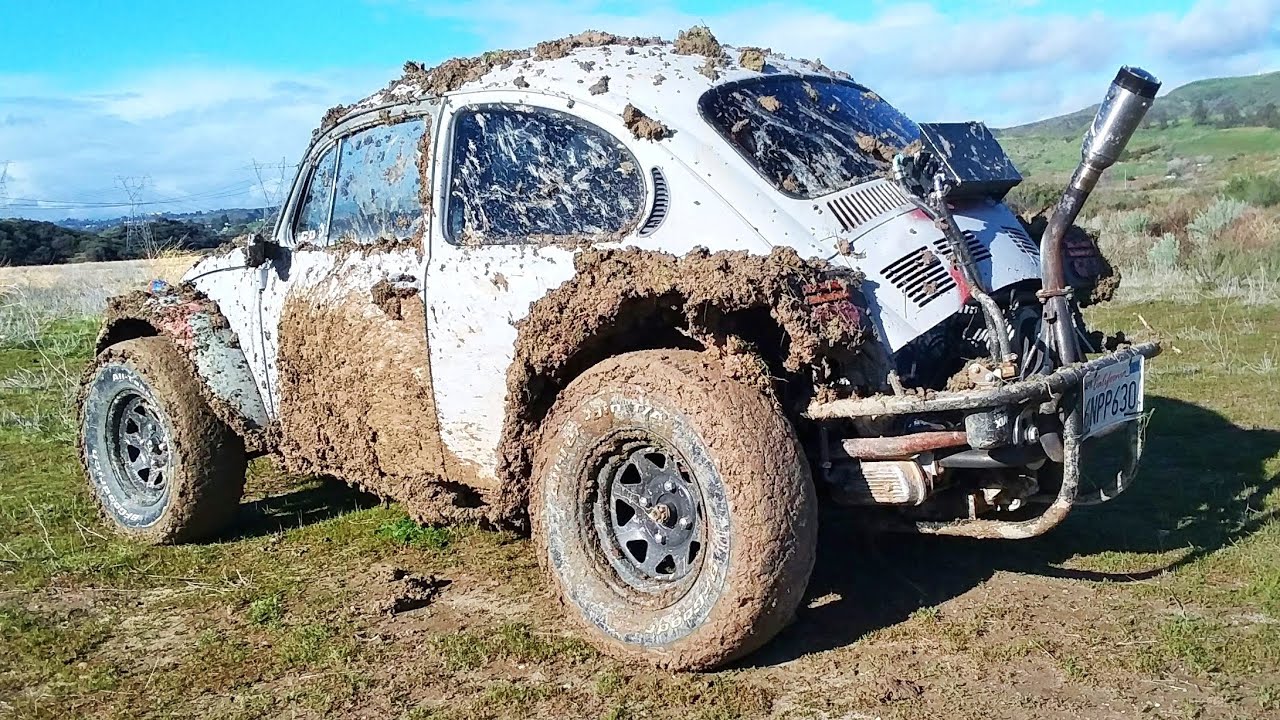 PROOF that owning a Baja Bug makes you a Certified BadAss... 👀