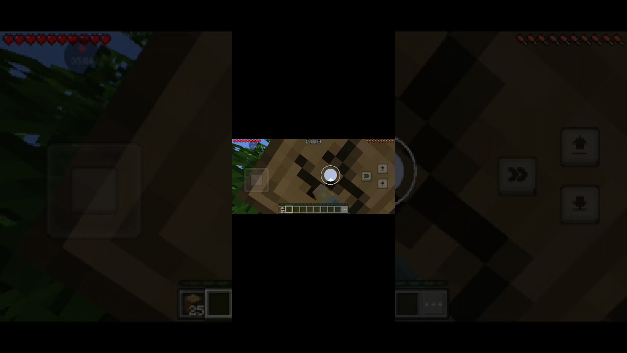 Minecraft 1