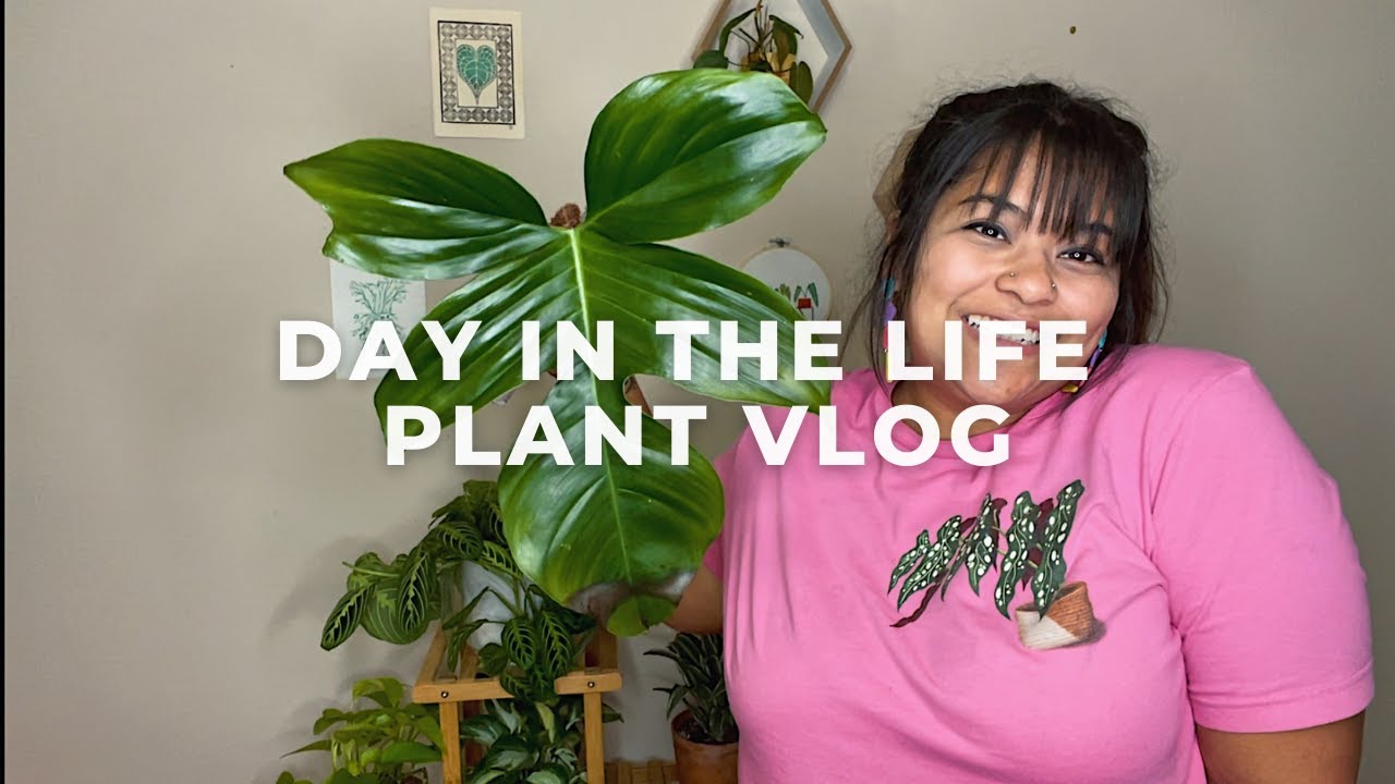 Plant Vlog: Wishlist Plant, Setting up Plant Room, Treating Spider Mite Outbreak, and Plant Shopping