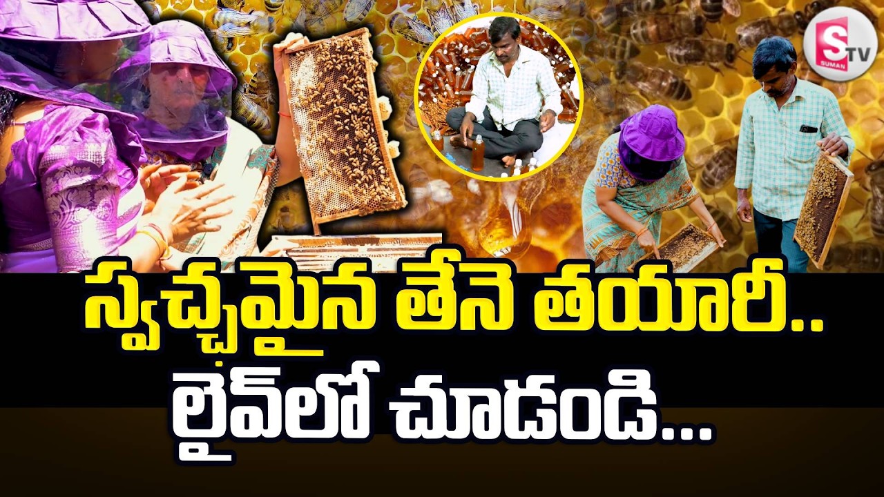 Honey Farming : స్వచ్ఛమైన తేనె తయారీ..| Exclusive Interview | SumanTV Rythu