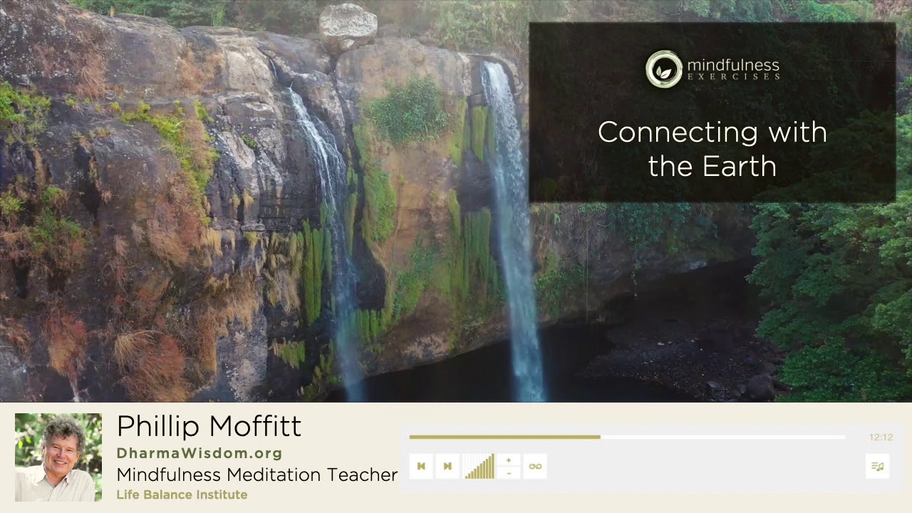 Connecting With The Earth - A Guided Meditation by Phillip Moffitt
