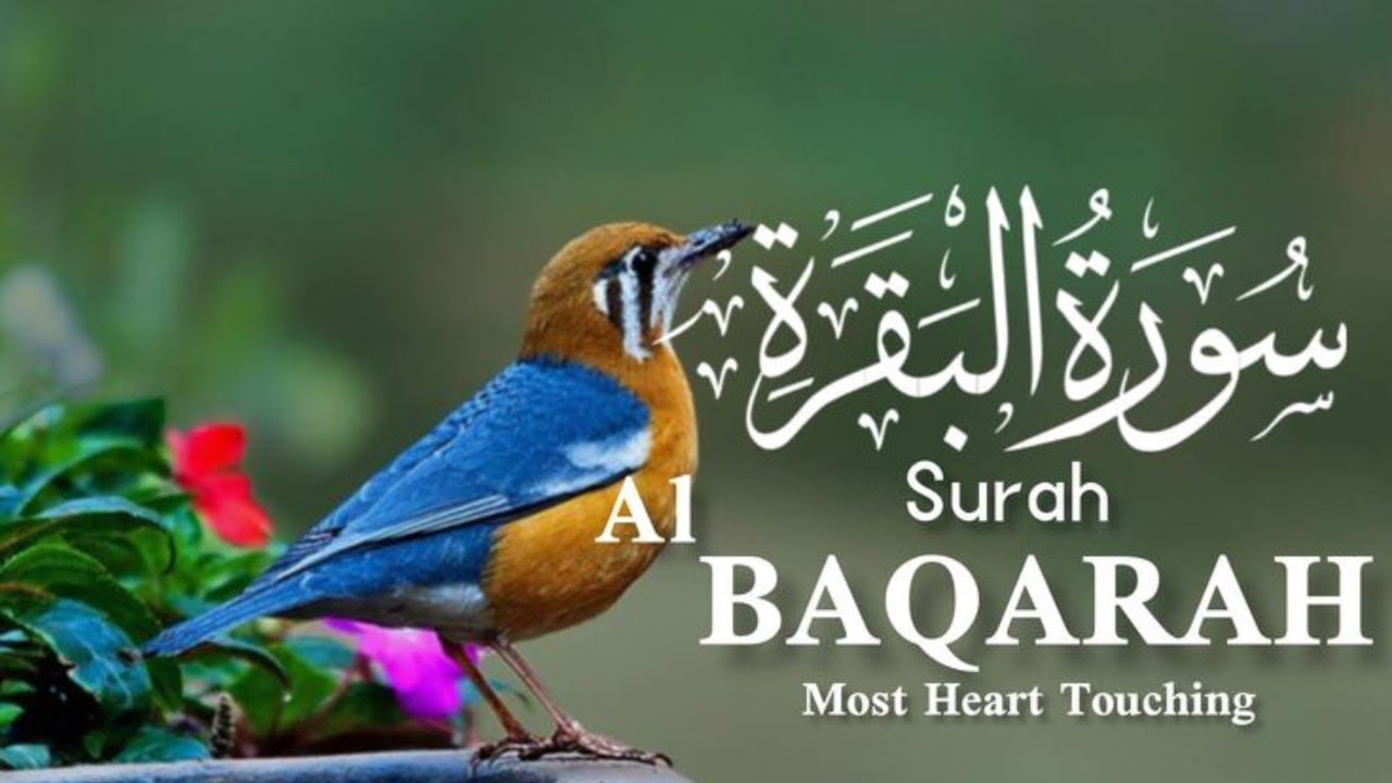 سورة البقرة | شفاء وراحة القلب | Al-Baqarah | علاء عقل