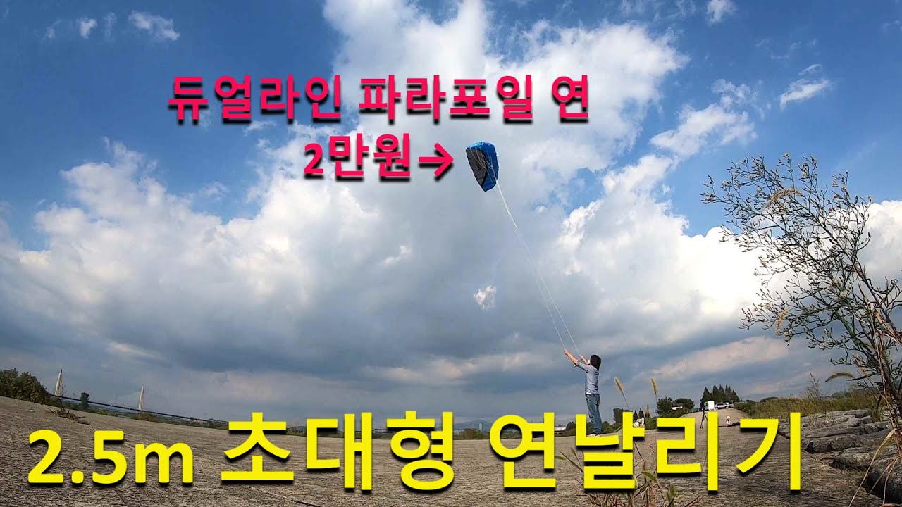초대형 연 날리기 리뷰