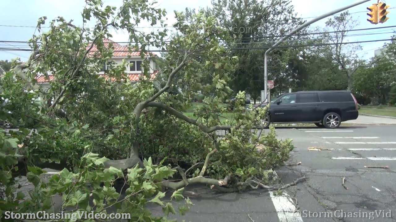 Tropical Storm Isaias, Wind Damage,  Nassau County, NY - 8/4/2020