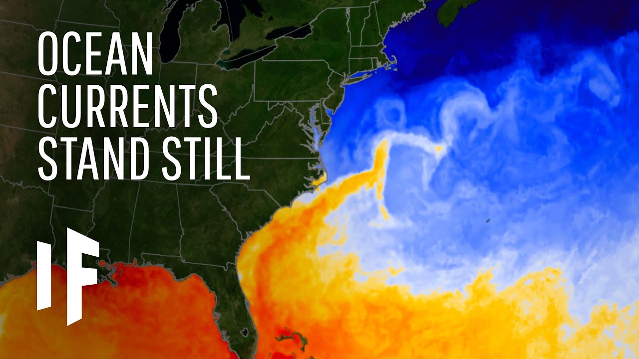 What If the Gulf Stream Current Stopped?