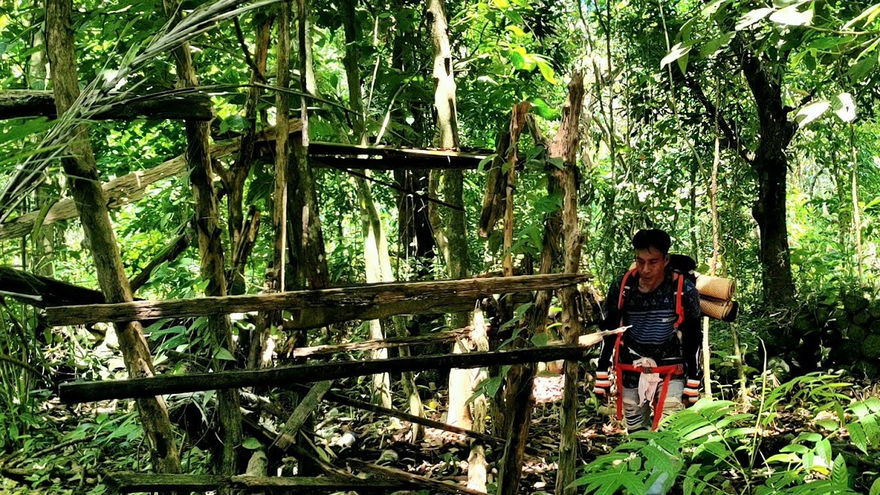 GUB*K HANCUR DI HUTAN JADI PONDOK CANTIK DALAM 7 HARI! (Tersambar Hujan Deras)