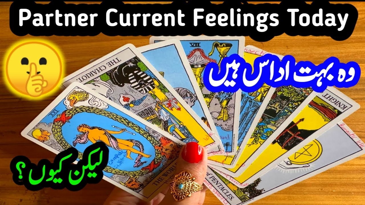 ❤️‍🔥Partner Current Feelings Tarot Hindi Today | Timeless