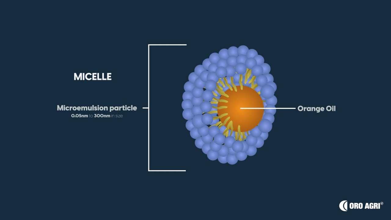 Micelle Formation