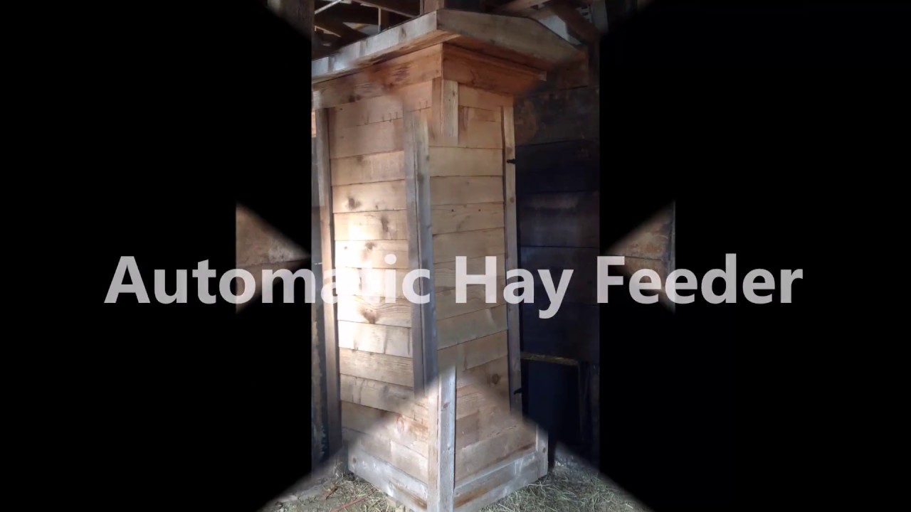 Hay Feeder video