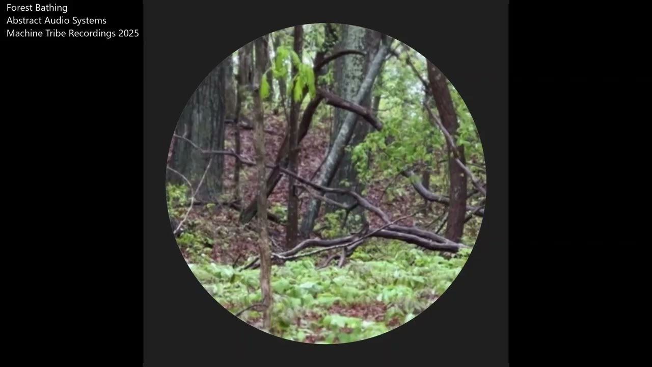 FULL ALBUM: Abstract Audio Systems - Forest Bathing