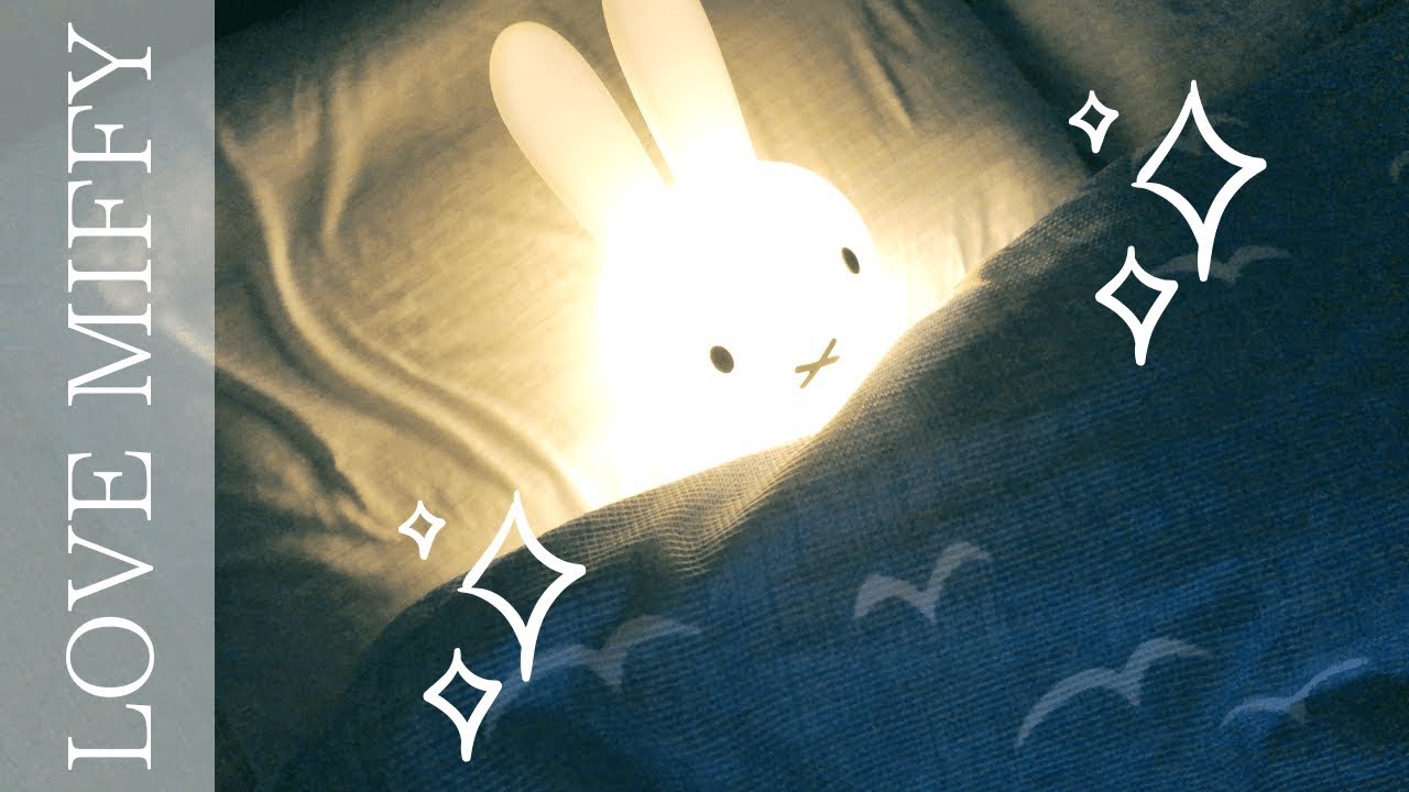 【商品レビュー】何処にでも現れるミッフィーが可愛すぎる I LOVE MIFFY【可愛い】