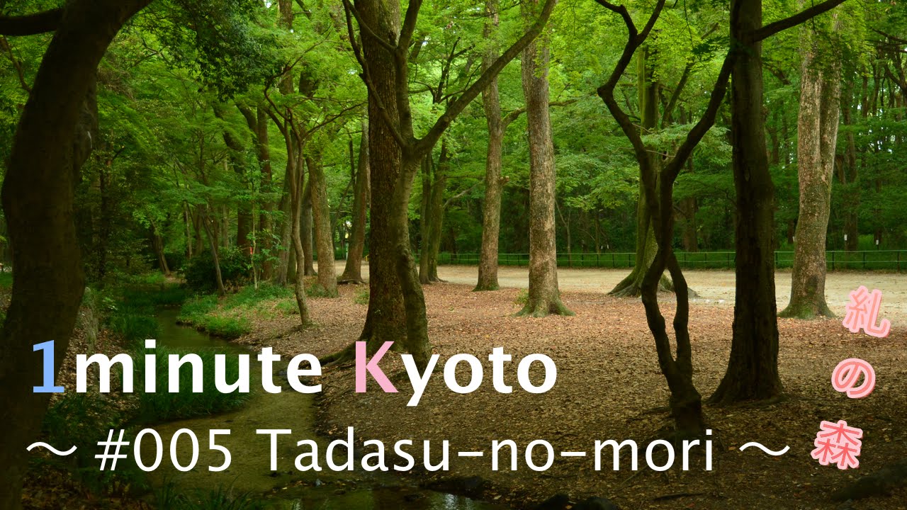 1 minute Kyoto #005 Tadasu-no-mori