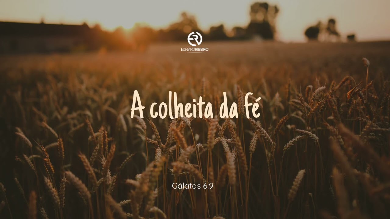 A colheita da fé