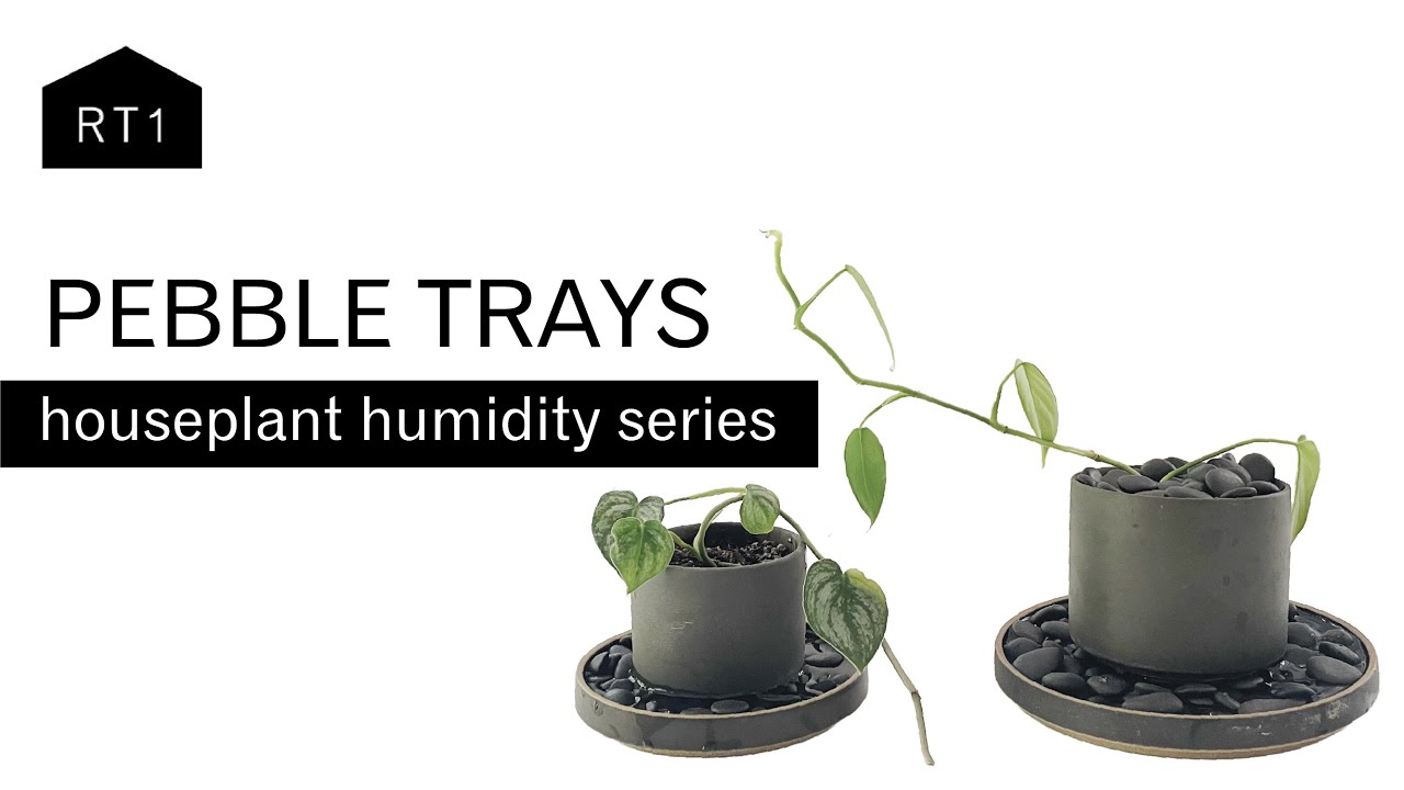 PEBBLE TRAYS: AN ATTRACTIVE METHOD TO INCREASE HUMIDITY