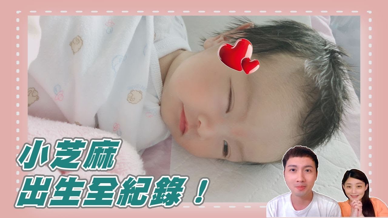 生產全紀錄！小芝麻終於來了！！
