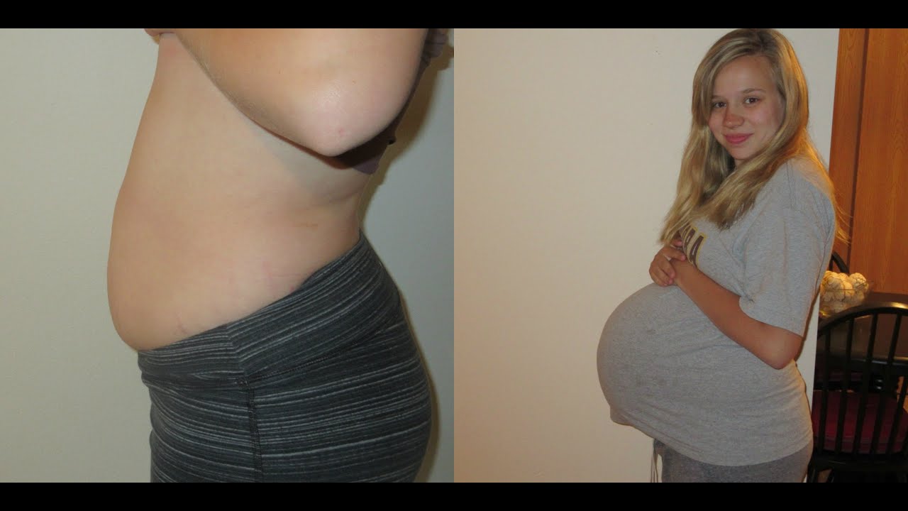 PREGNANCY BELLY PROGRESSION | 4-40 WEEKS