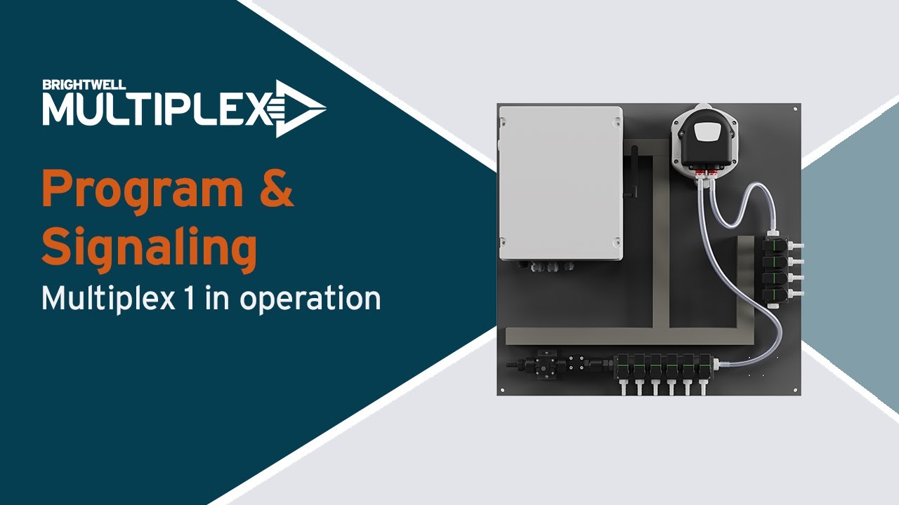 Multiplex - Multiplex 1 in Operation (Demo Video)
