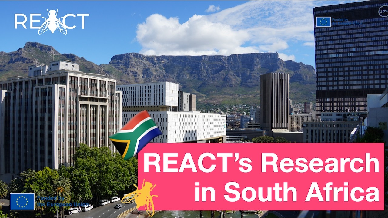 REACT's Work in South Africa: Stakeholder Workshops with the Citrus Industry