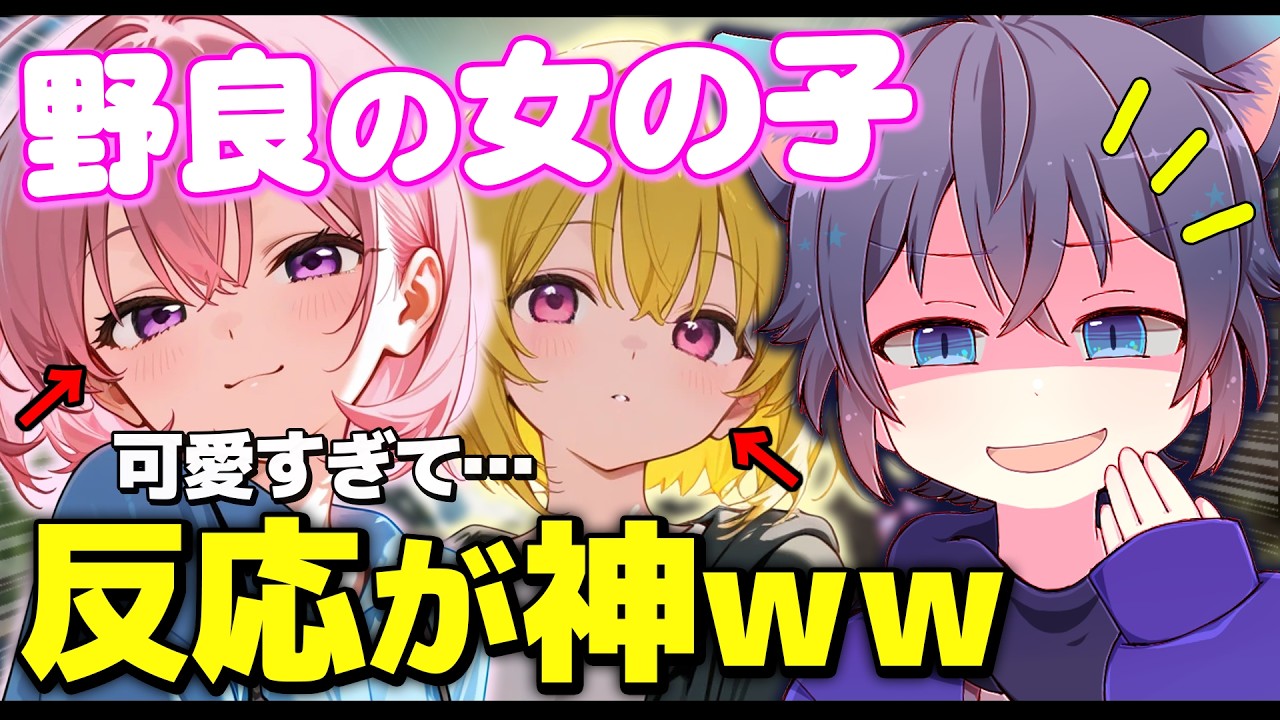 野良で出会った女の子の反応が可愛すぎて一生見てられるｗ