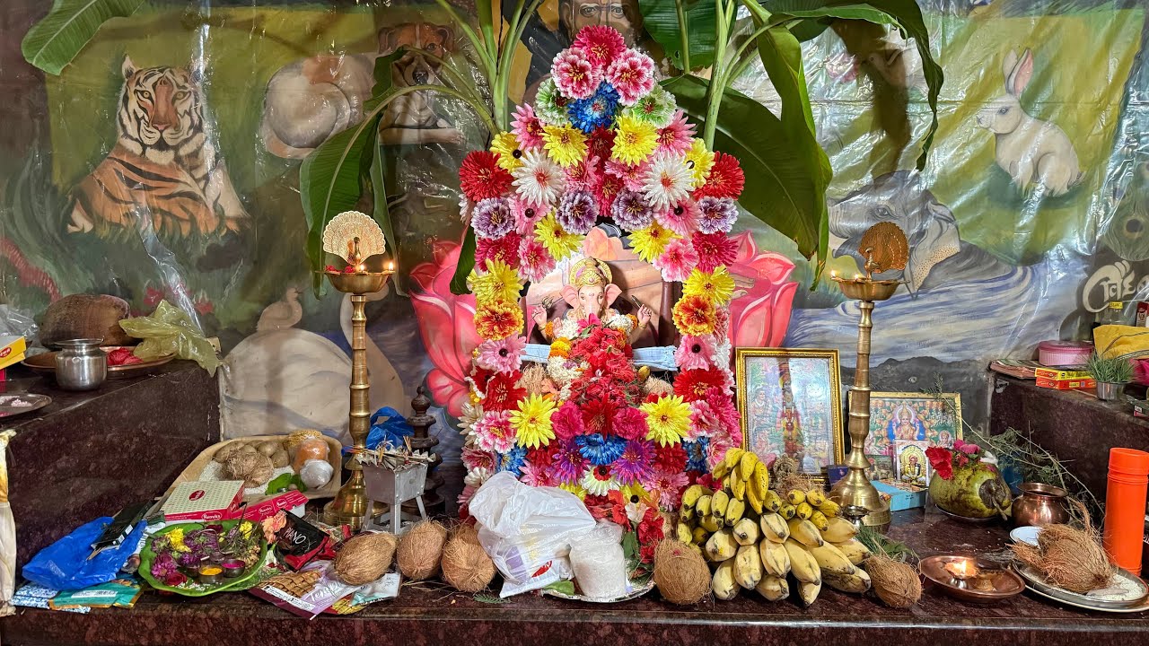 माघी गणेश जयंतीनिमित्त आम्ही गेलो आमच्या पाहुण्यांच्या घरी❤️||✨||मालवणी जोडप्या Vlogs