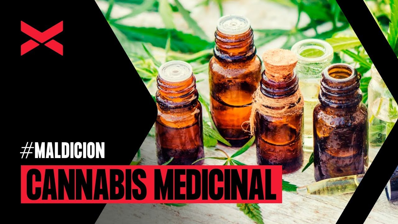 Doctor Tartaglione // Cannabis Medicinal