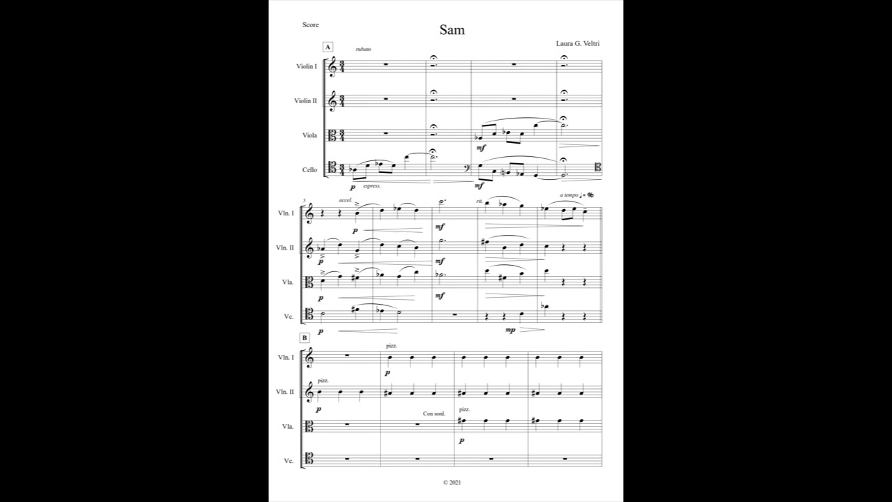 Sam - Laura Veltri (string quartet)