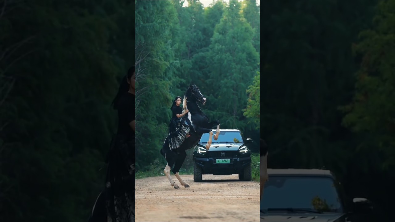 Stunning Girl Horse Riding 03 #horse #horses #equestrianlife #chinesegirl#riding