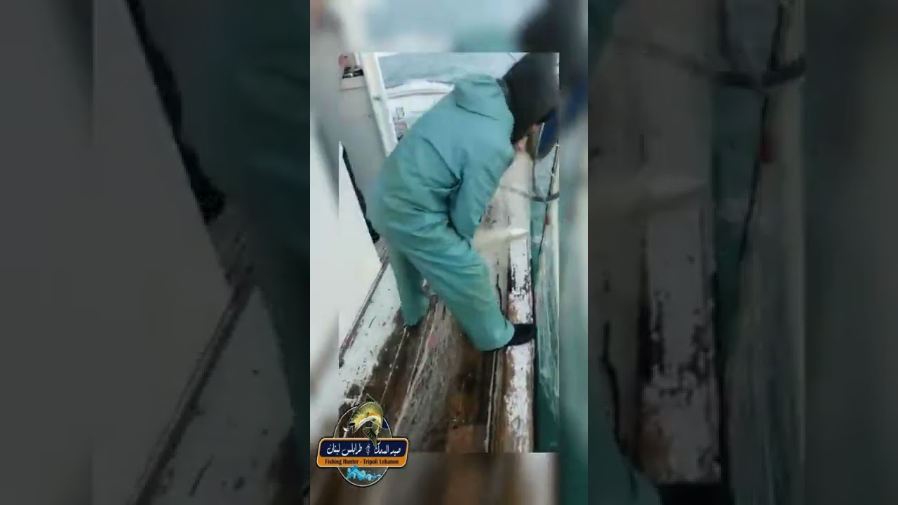 رزق شباك بعد العاصفة ماشاء الله🥰🐟🐟🐟                   صيد السمك في طرابلس لبنان