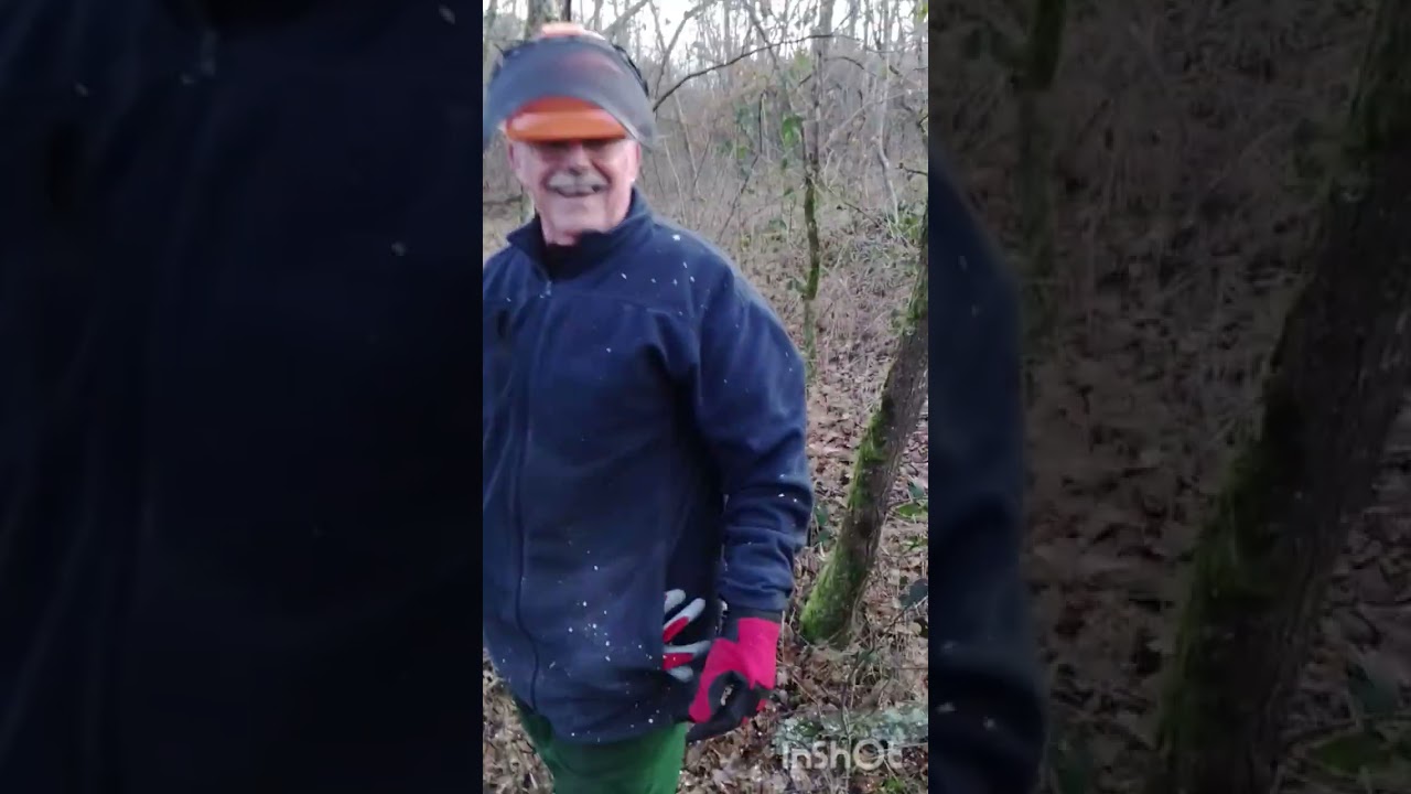 Une journée aux bois épisode 5 Partie 1 #stihl #bois #agriculture #affouage