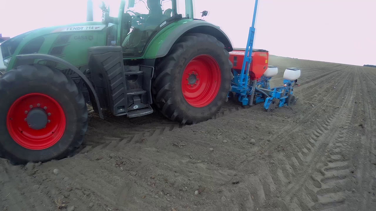 Siew Kukurydzy 2020 │FENDT 714 Vario & MONOSEM 6│