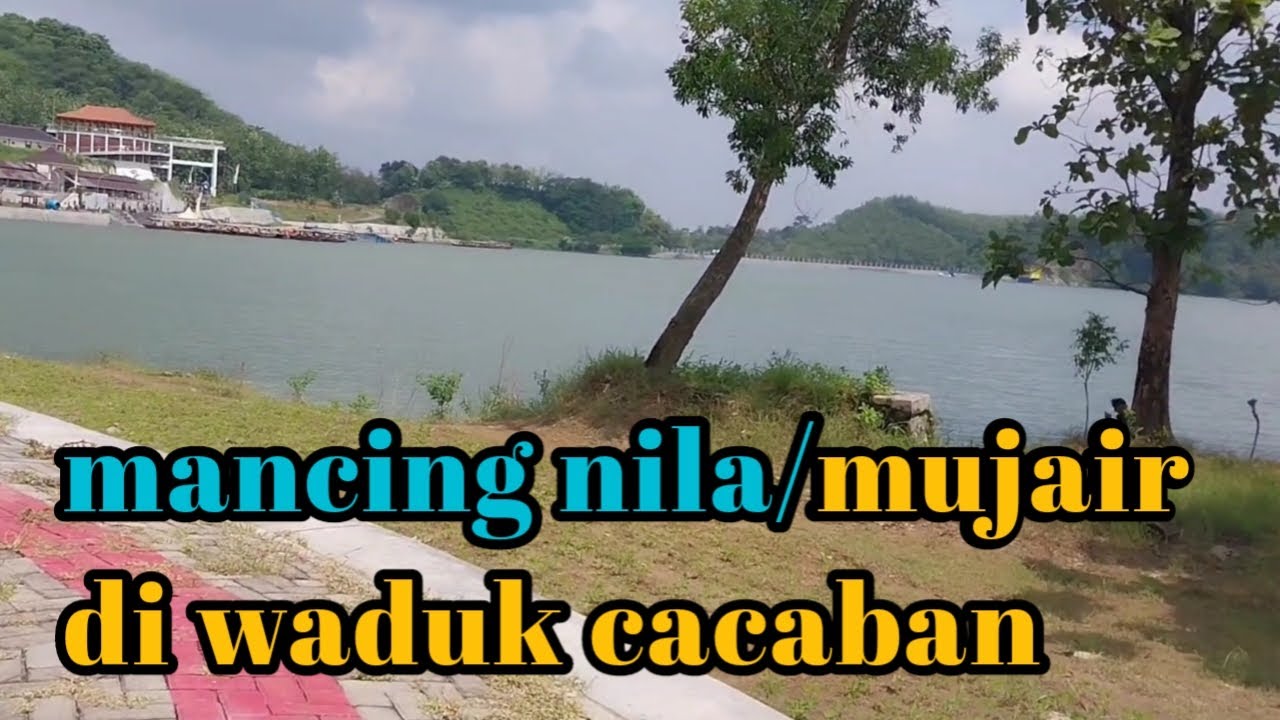 luarrr biasa...!! mancing nila di waduk cacaban hasilnya di luar dugaan mantap