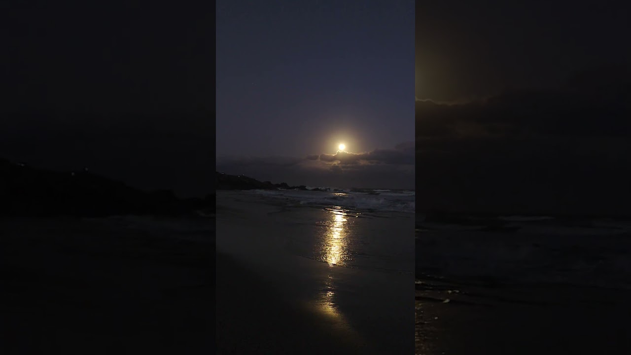 #sunset #beach #shorts #travel #song #nature #shortvideo #subscribe #nature #short #love #beautiful