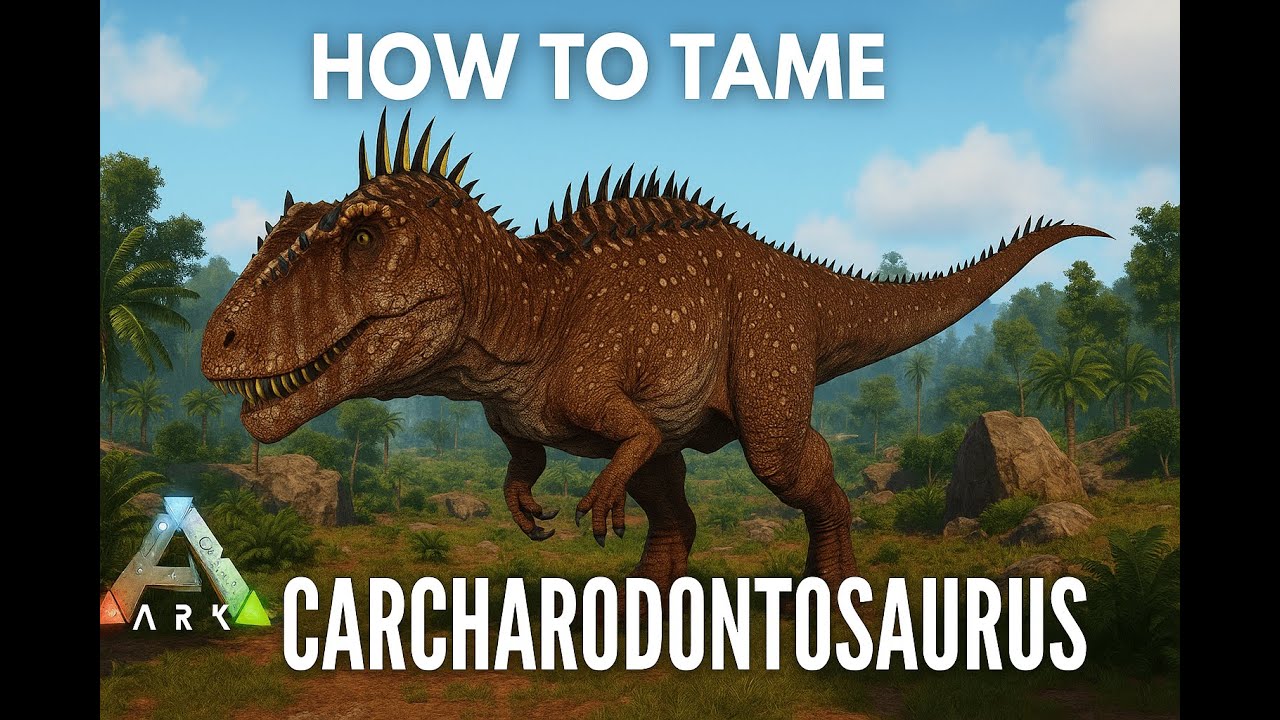 Hướng dẫn tame Carcharodontosaurus cực kì đơn giản và dễ kể cả newbie || ARK Survival Ascended