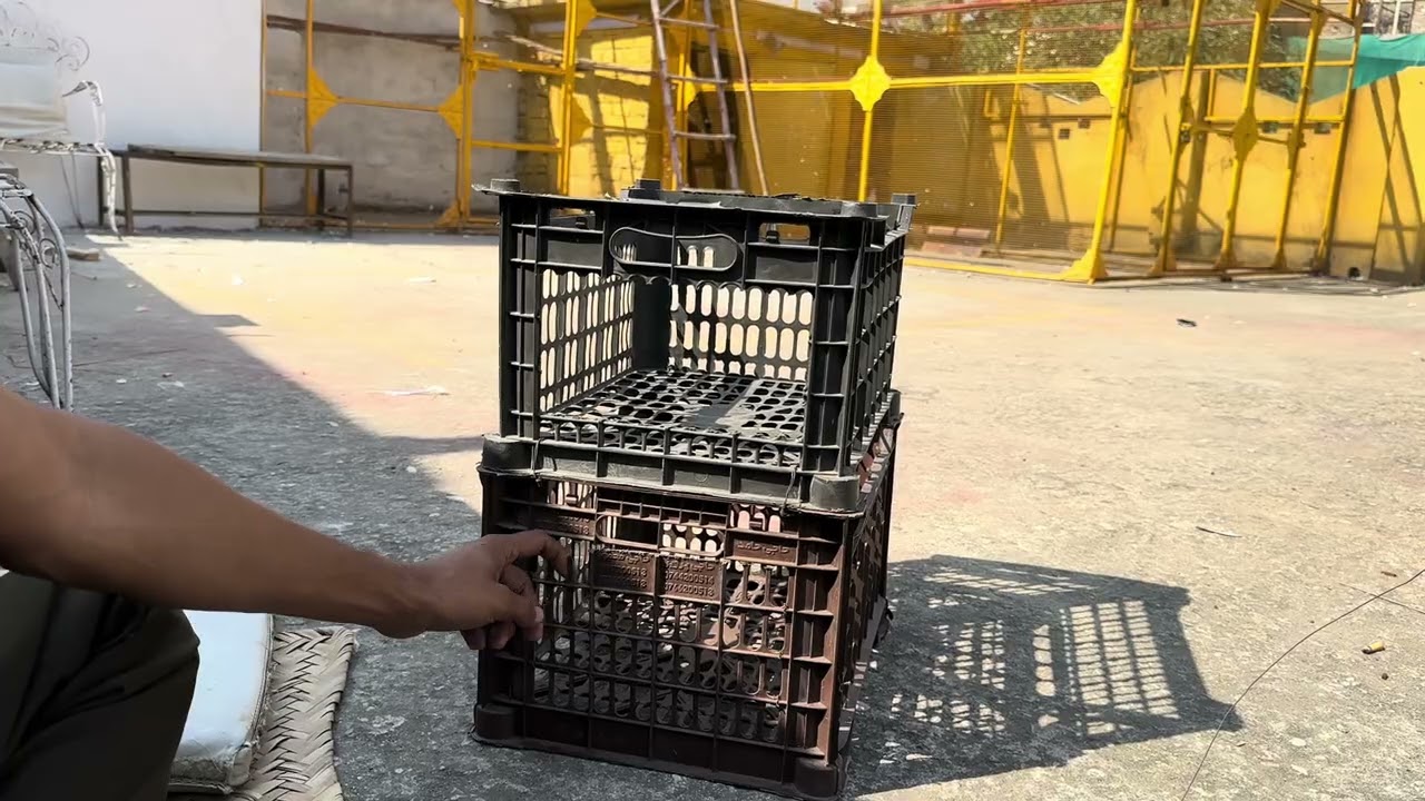 Breeder kabutaron k Lia patiyan bna Di 😱 | Dar pigeons club | 