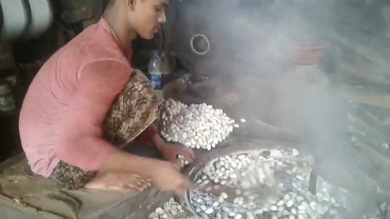 White cocoon silk Reeling machine se resham ka dhaga kaise nikala jata he