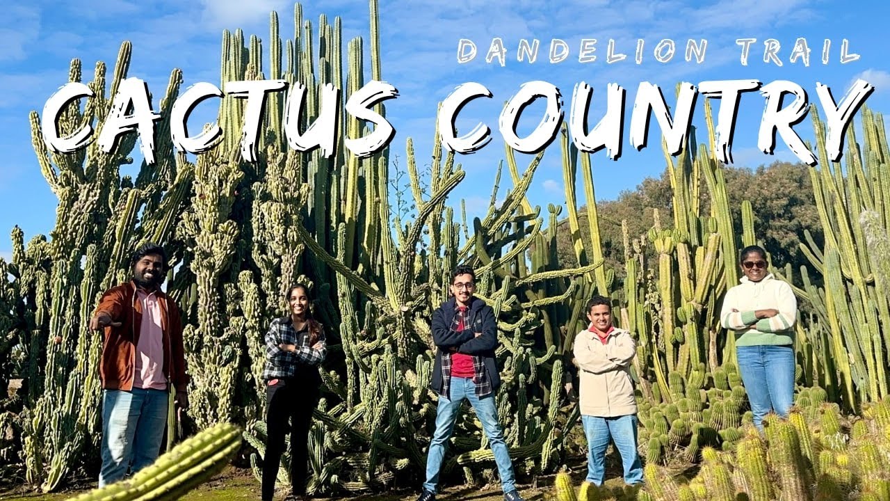 AUSTRALIA’S LARGEST CACTUS GARDEN | See amazing variety of cacti | Cactus Country  | Victoria