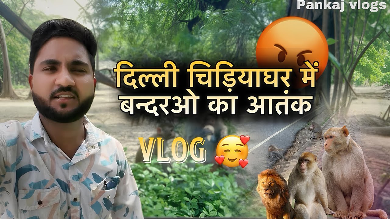 दिल्ली का चिड़िया 🦅 घर 🏡 में बंदरों का आतंक 🐒//#viral#viralvideos#youtube#delhitouristattraction