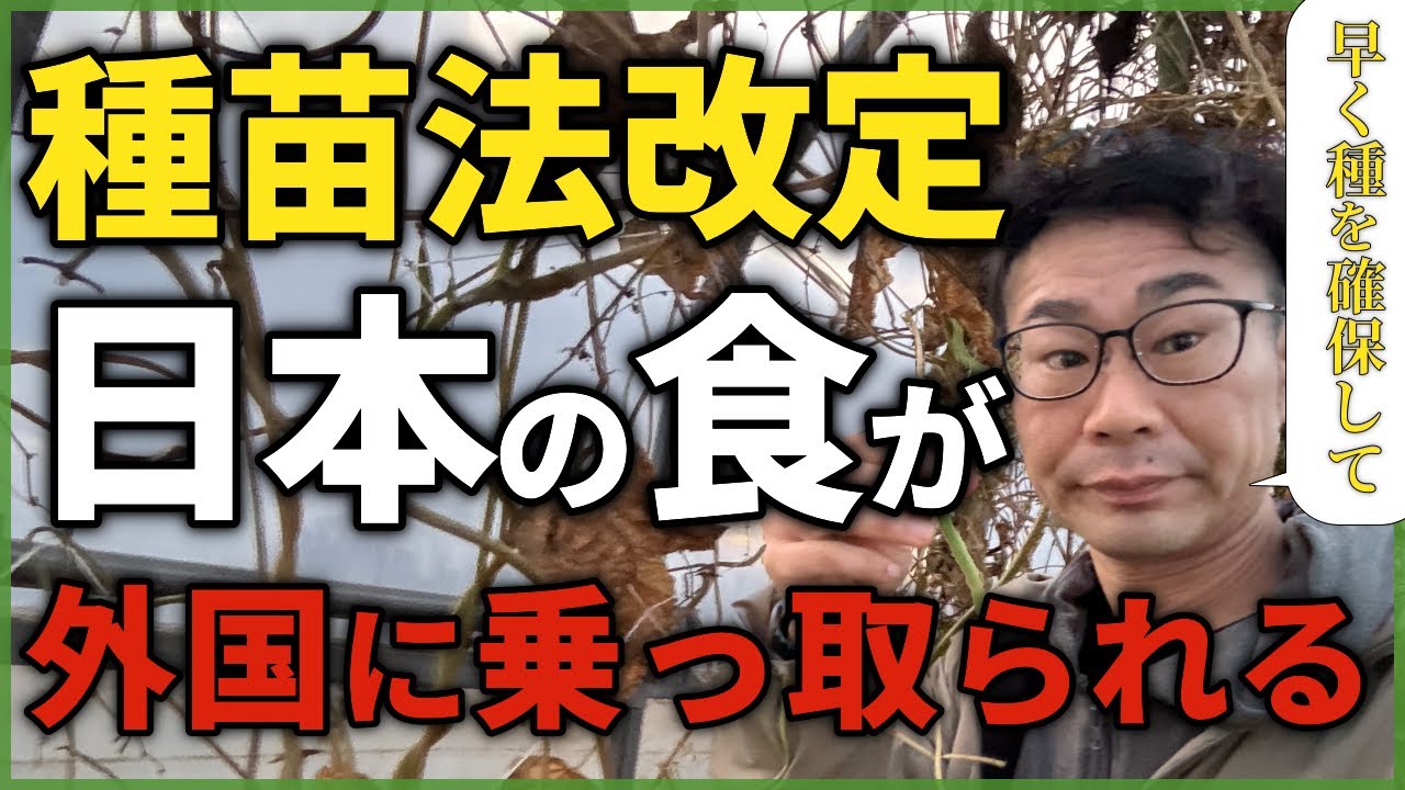 種苗法とは？家庭菜園で合法的に種を取る方法