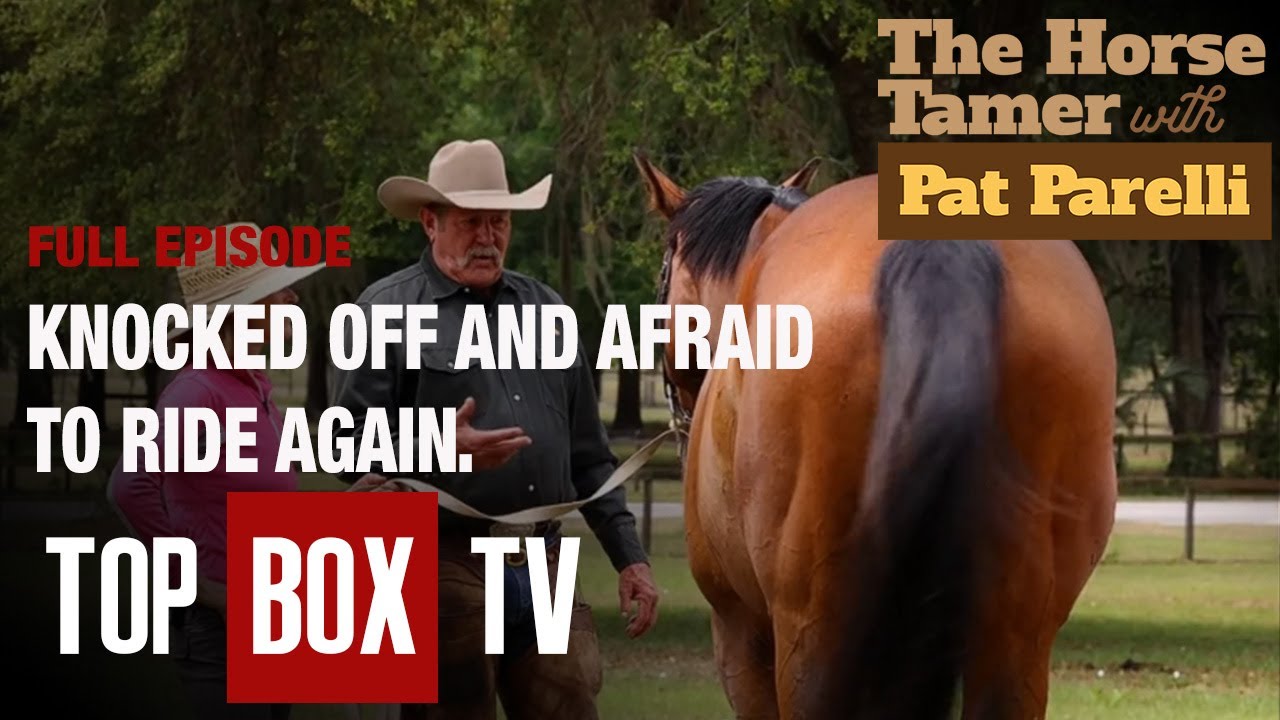 Overfed & Out Of Control | Leslie And Solo Tu - The Horse Tamer With Pat Parelli -104