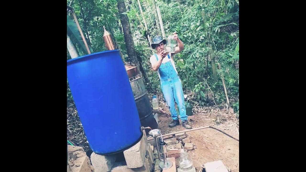 Moonshine de Malte/Milho 