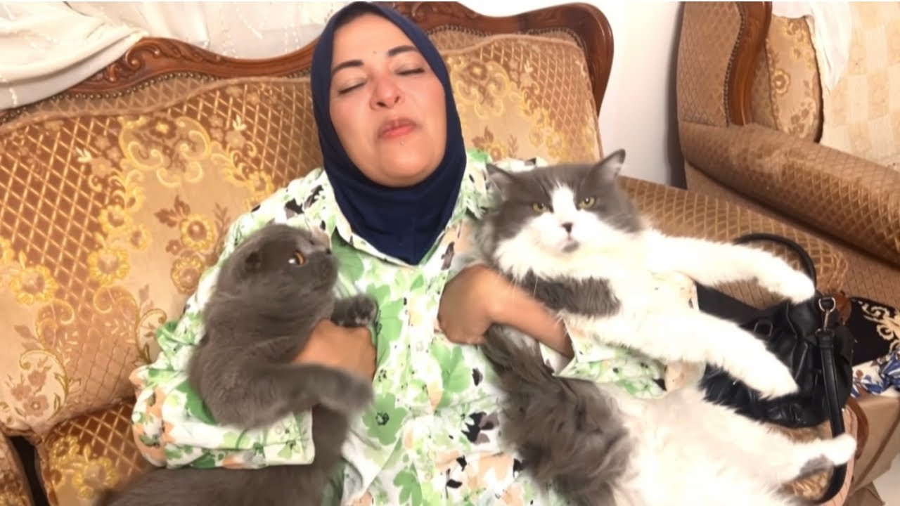 رجوعي لبيتي وانتهاء رحلة باريس ✈️✈️🇫🇷