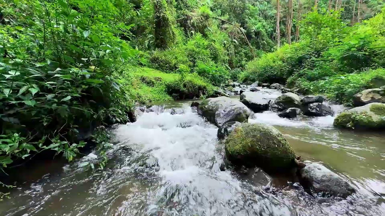 Let nature calm your spirit with river sounds tonight in a shaded woodland creek area